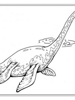 Раскраска Плезиозавр