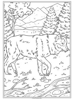 Раскраска Волк в лесу