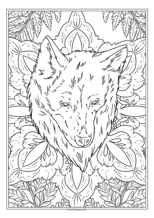 Раскраска Волк в цветке
