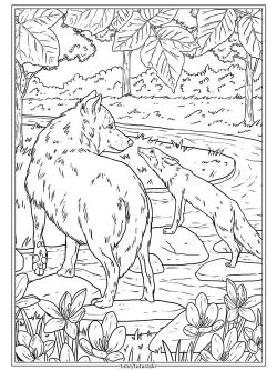 Раскраска Волк и лисица