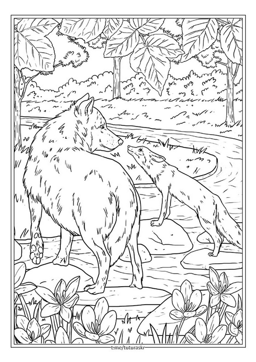 Раскраска Волк и лисица