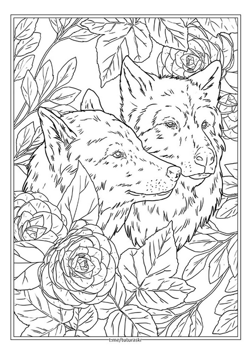 Раскраска Два волка и розы