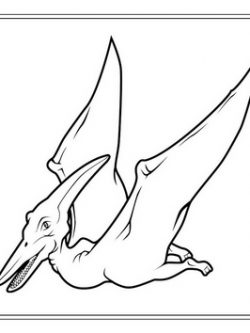 Раскраска Летящий птеранодон