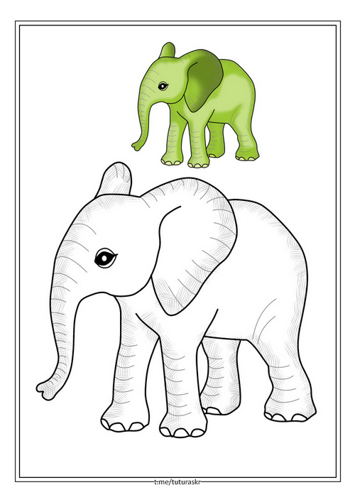 Раскраска Салатовый слон