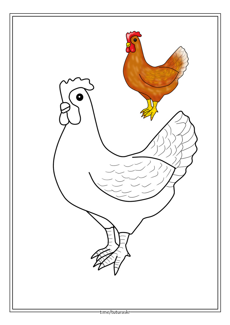‎App Store: Маленький цыпленок раскраска Рисование и Paint Art Studio игры для детей Пасха